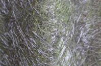 Newholm fibreglass roof work